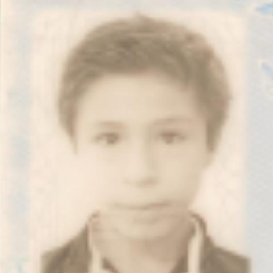 User Image