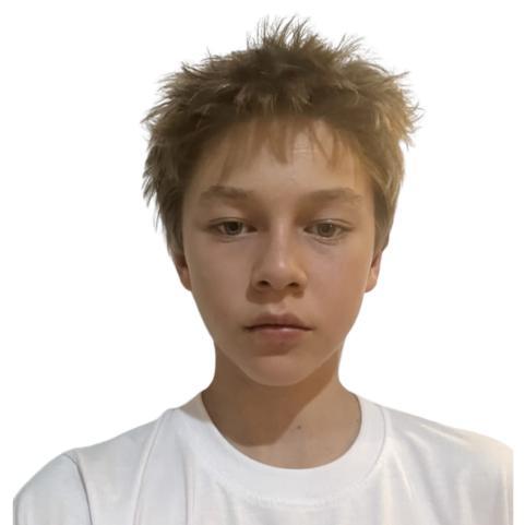 User Image