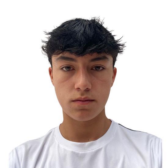 User Image