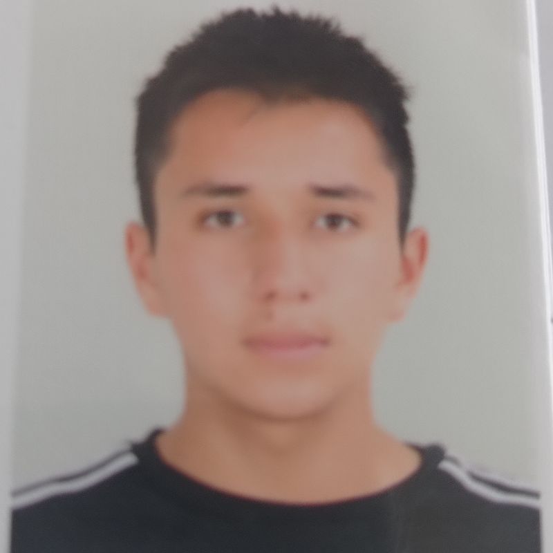 User Image