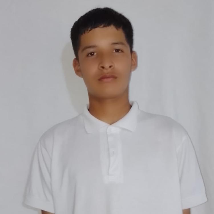 User Image