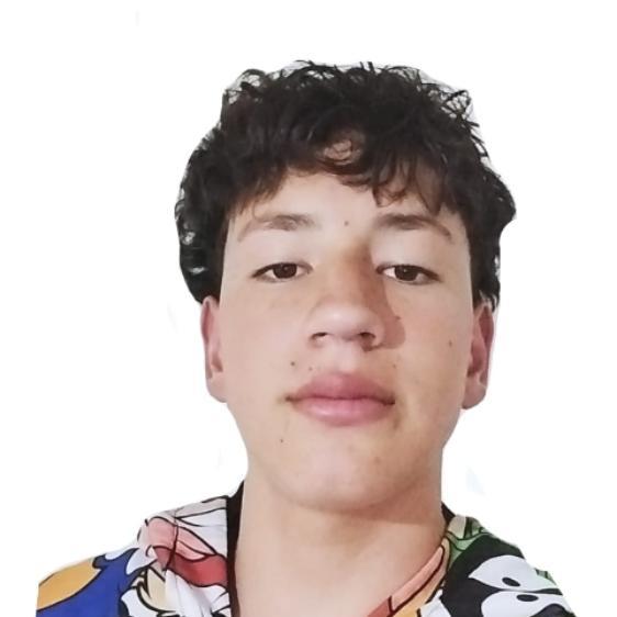 User Image