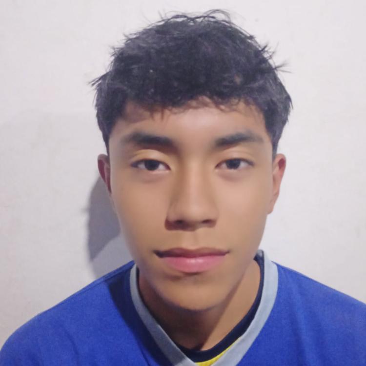 User Image