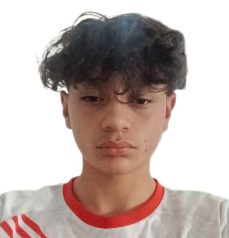 User Image