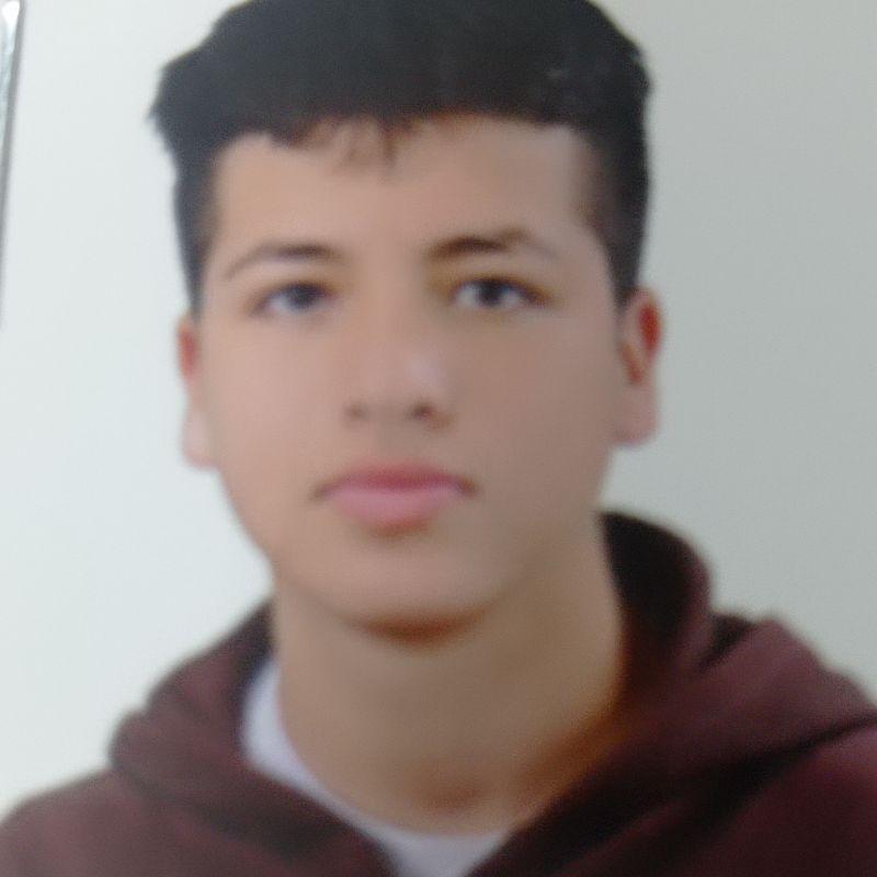 User Image