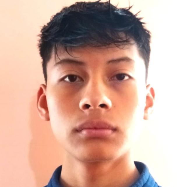 User Image