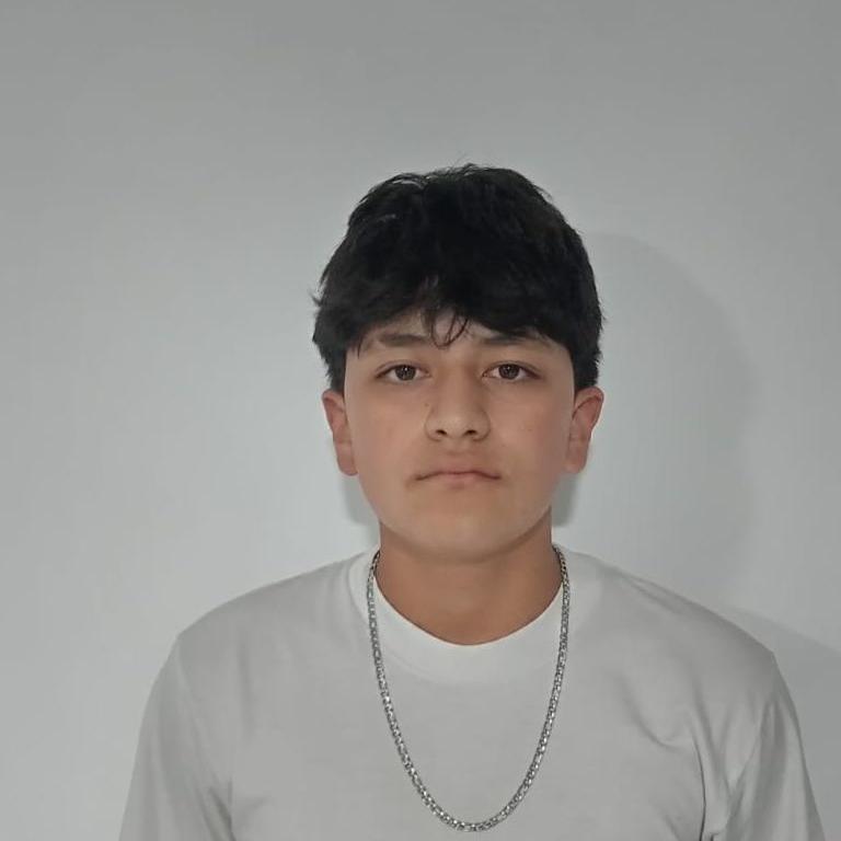 User Image