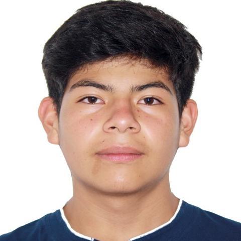 User Image