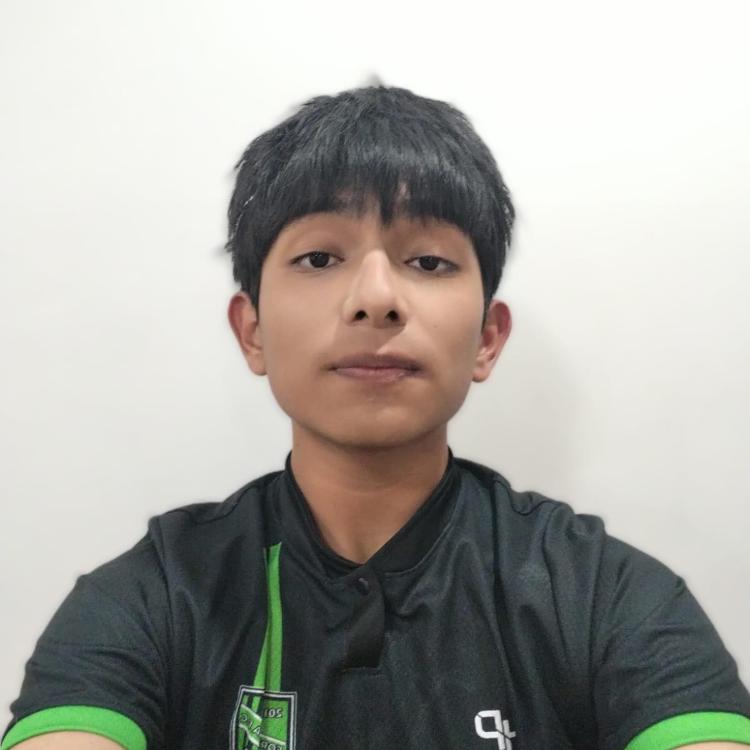 User Image