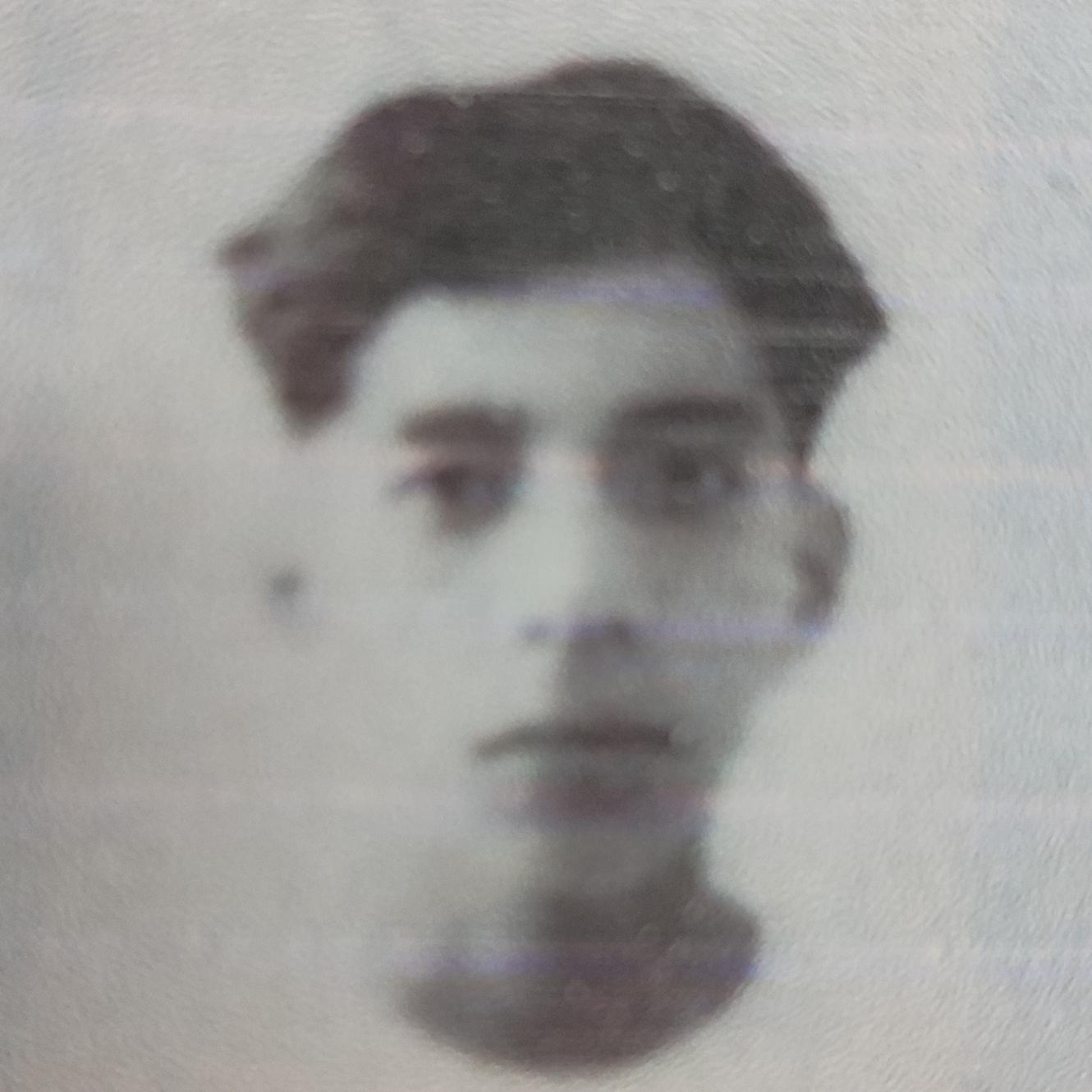 User Image