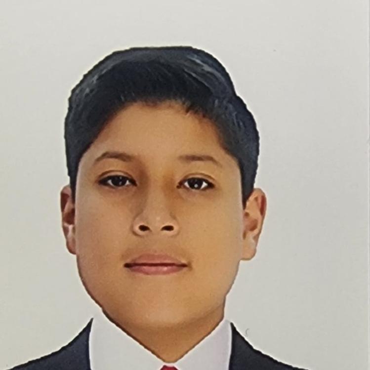 User Image
