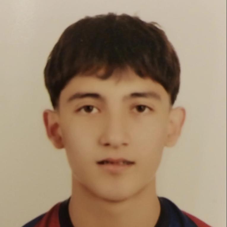 User Image