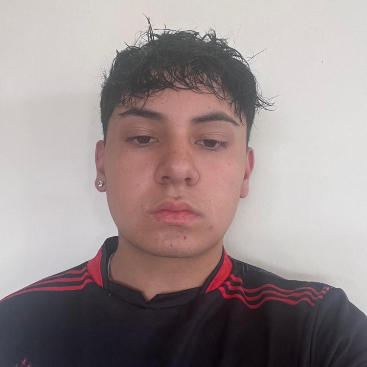 User Image