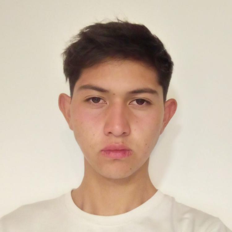 User Image