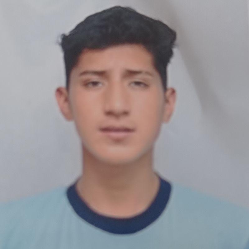 User Image