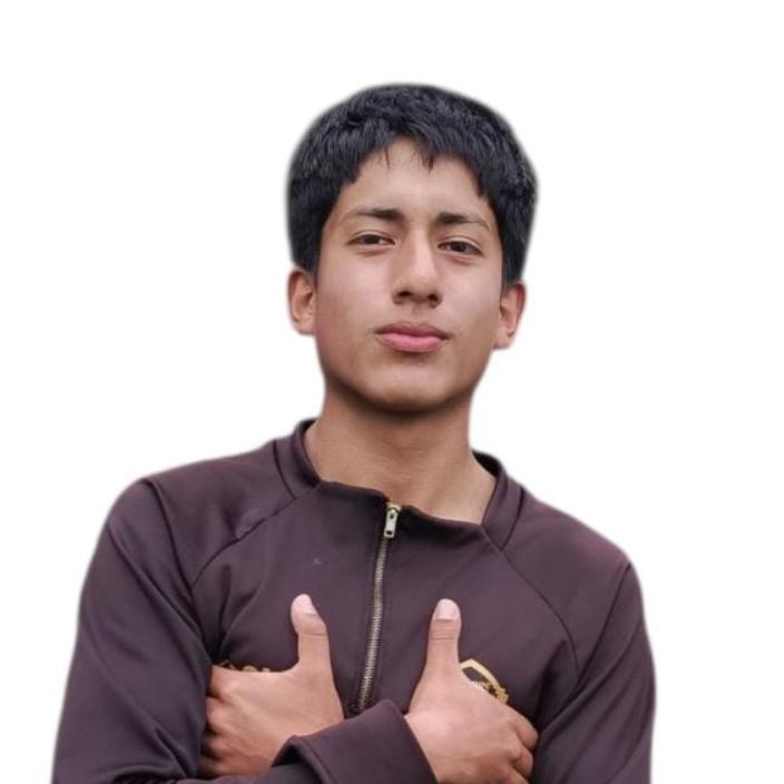 User Image