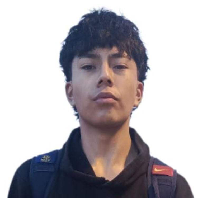 User Image