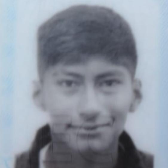 User Image